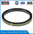 High Pressure Spgw/Phd Type Hydraulic Cylinder Piston Seal Ring